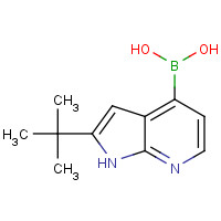 1089669-71-5 (2-tert-butyl-1H-pyrrolo[2,3-b]pyridin-4-yl)boronic acid chemical structure