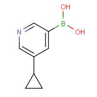 1044210-58-3 (5-cyclopropylpyridin-3-yl)boronic acid chemical structure