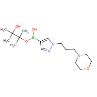 1092500-87-2 (3-hydroxy-2,3-dimethylbutan-2-yl)oxy-[1-(3-morpholin-4-ylpropyl)pyrazol-4-yl]borinic acid chemical structure