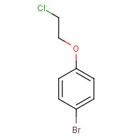 55162-34-0 1-bromo-4-(2-chloroethoxy)benzene chemical structure