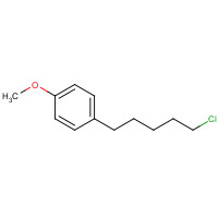 796867-46-4 1-(5-chloropentyl)-4-methoxybenzene chemical structure
