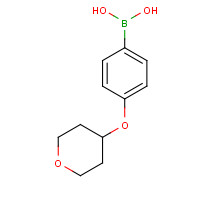 279261-92-6 [4-(oxan-4-yloxy)phenyl]boronic acid chemical structure
