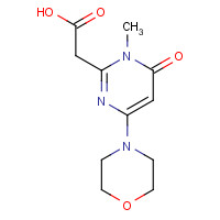 1260981-31-4 2-(1-methyl-4-morpholin-4-yl-6-oxopyrimidin-2-yl)acetic acid chemical structure