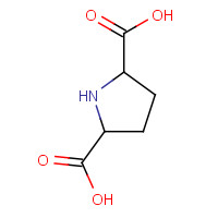 72000-65-8 pyrrolidine-2,5-dicarboxylic acid chemical structure