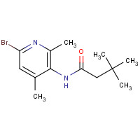 1093352-28-3 N-(6-bromo-2,4-dimethylpyridin-3-yl)-3,3-dimethylbutanamide chemical structure