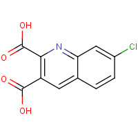 892874-52-1 7-chloroquinoline-2,3-dicarboxylic acid chemical structure