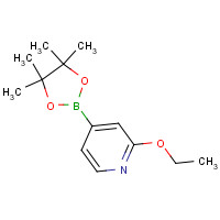 957346-47-3 2-ethoxy-4-(4,4,5,5-tetramethyl-1,3,2-dioxaborolan-2-yl)pyridine chemical structure
