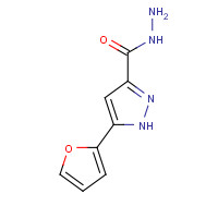 92352-24-4 5-(furan-2-yl)-1H-pyrazole-3-carbohydrazide chemical structure