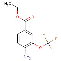 1260742-02-6 ethyl 4-amino-3-(trifluoromethoxy)benzoate chemical structure