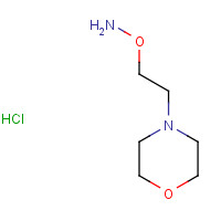 72423-24-6 O-(2-morpholin-4-ylethyl)hydroxylamine;hydrochloride chemical structure