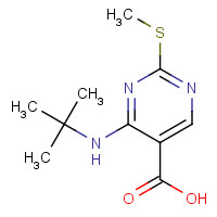 1403864-78-7 4-(tert-butylamino)-2-methylsulfanylpyrimidine-5-carboxylic acid chemical structure