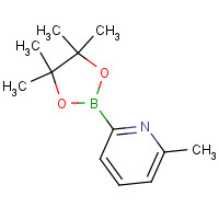 1096689-44-9 2-methyl-6-(4,4,5,5-tetramethyl-1,3,2-dioxaborolan-2-yl)pyridine chemical structure