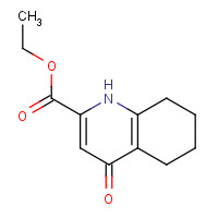 1352724-20-9 ethyl 4-oxo-5,6,7,8-tetrahydro-1H-quinoline-2-carboxylate chemical structure