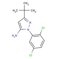 1017781-20-2 5-tert-butyl-2-(2,5-dichlorophenyl)pyrazol-3-amine chemical structure