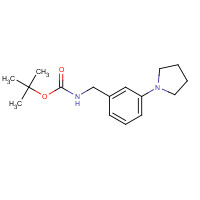 828242-06-4 tert-butyl N-[(3-pyrrolidin-1-ylphenyl)methyl]carbamate chemical structure