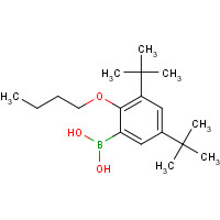 245435-12-5 (2-butoxy-3,5-ditert-butylphenyl)boronic acid chemical structure