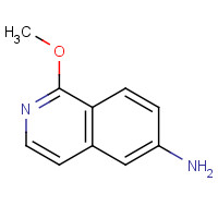 347146-47-8 1-methoxyisoquinolin-6-amine chemical structure