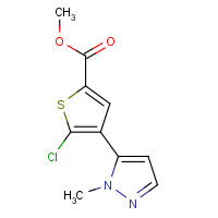 1047630-52-3 methyl 5-chloro-4-(2-methylpyrazol-3-yl)thiophene-2-carboxylate chemical structure