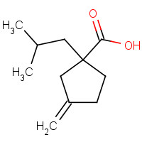 400770-67-4 3-methylidene-1-(2-methylpropyl)cyclopentane-1-carboxylic acid chemical structure