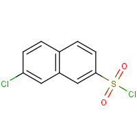 102153-64-0 7-chloronaphthalene-2-sulfonyl chloride chemical structure