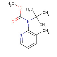 1260403-56-2 methyl N-tert-butyl-N-(3-methylpyridin-2-yl)carbamate chemical structure