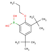 245435-09-0 (3,5-ditert-butyl-2-propoxyphenyl)boronic acid chemical structure