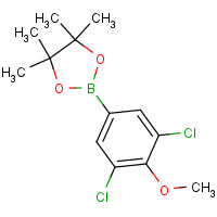 942069-69-4 2-(3,5-dichloro-4-methoxyphenyl)-4,4,5,5-tetramethyl-1,3,2-dioxaborolane chemical structure