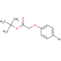 282116-88-5 tert-butyl 2-(4-bromophenoxy)acetate chemical structure