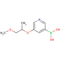 1350512-44-5 [5-(1-methoxypropan-2-yloxy)pyridin-3-yl]boronic acid chemical structure