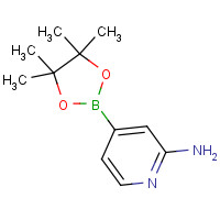1195995-72-2 4-(4,4,5,5-tetramethyl-1,3,2-dioxaborolan-2-yl)pyridin-2-amine chemical structure