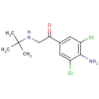 69708-36-7 1-(4-amino-3,5-dichlorophenyl)-2-(tert-butylamino)ethanone chemical structure