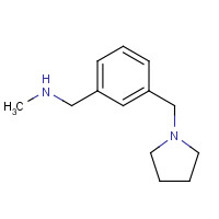 884507-46-4 N-methyl-1-[3-(pyrrolidin-1-ylmethyl)phenyl]methanamine chemical structure
