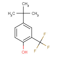 57477-80-2 4-tert-butyl-2-(trifluoromethyl)phenol chemical structure