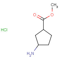 1398534-59-2 methyl 3-aminocyclopentane-1-carboxylate;hydrochloride chemical structure