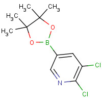 741709-64-8 2,3-dichloro-5-(4,4,5,5-tetramethyl-1,3,2-dioxaborolan-2-yl)pyridine chemical structure