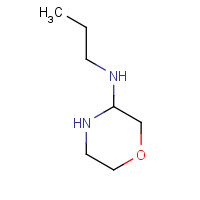 551919-84-7 N-propylmorpholin-3-amine chemical structure