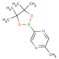 1101205-24-6 2-methyl-5-(4,4,5,5-tetramethyl-1,3,2-dioxaborolan-2-yl)pyrazine chemical structure