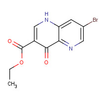64436-97-1 ethyl 7-bromo-4-oxo-1H-1,5-naphthyridine-3-carboxylate chemical structure