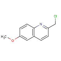 141770-91-4 2-(chloromethyl)-6-methoxyquinoline chemical structure