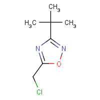 944901-64-8 3-tert-butyl-5-(chloromethyl)-1,2,4-oxadiazole chemical structure
