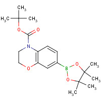 1467057-57-3 tert-butyl 7-(4,4,5,5-tetramethyl-1,3,2-dioxaborolan-2-yl)-2,3-dihydro-1,4-benzoxazine-4-carboxylate chemical structure