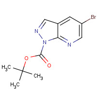 1299607-55-8 tert-butyl 5-bromopyrazolo[3,4-b]pyridine-1-carboxylate chemical structure