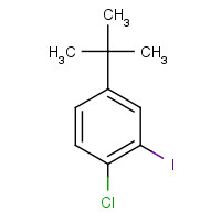 1233062-20-8 4-tert-butyl-1-chloro-2-iodobenzene chemical structure