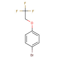 106854-77-7 1-bromo-4-(2,2,2-trifluoroethoxy)benzene chemical structure