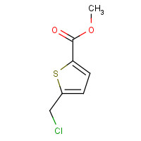 34776-79-9 methyl 5-(chloromethyl)thiophene-2-carboxylate chemical structure