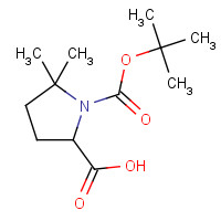 900158-99-8 5,5-dimethyl-1-[(2-methylpropan-2-yl)oxycarbonyl]pyrrolidine-2-carboxylic acid chemical structure