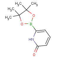 1310405-04-9 6-(4,4,5,5-tetramethyl-1,3,2-dioxaborolan-2-yl)-1H-pyridin-2-one chemical structure
