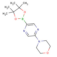 1283180-64-2 4-[5-(4,4,5,5-tetramethyl-1,3,2-dioxaborolan-2-yl)pyrazin-2-yl]morpholine chemical structure