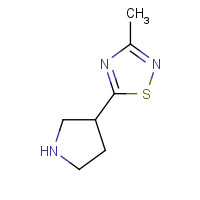 122683-02-7 3-methyl-5-pyrrolidin-3-yl-1,2,4-thiadiazole chemical structure