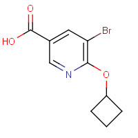 1364678-46-5 5-bromo-6-cyclobutyloxypyridine-3-carboxylic acid chemical structure